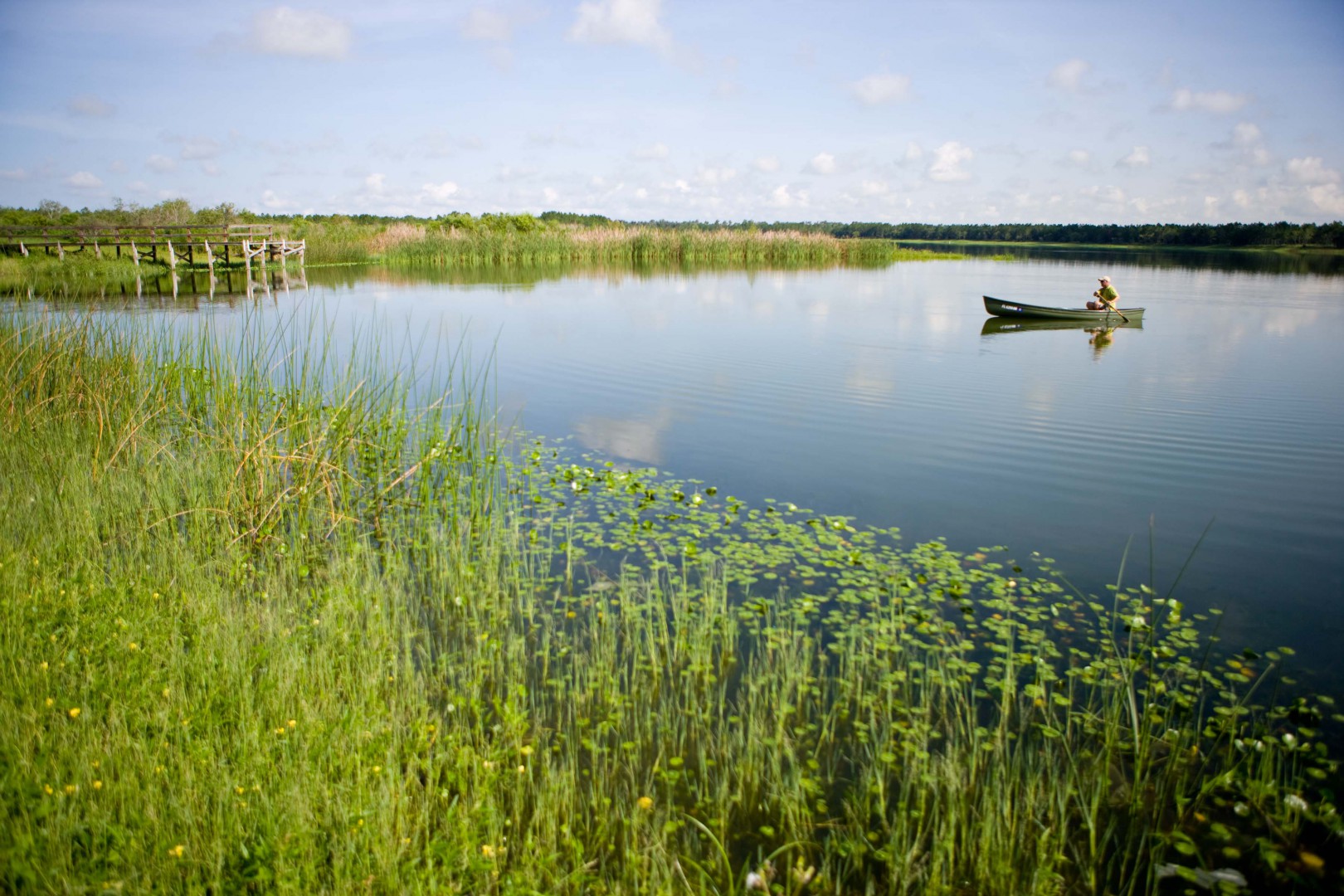 Rice-Stewardship-Wetlands